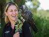 Kaarakin black cockatoo conservation centre avian management officer Rachel Riley with one of the centre’s black cockatoos. Photograph — Matt Devlin.