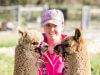 Banksia park alpaca stud manager Sophie Jackson has been raising alpacas with her family since she was two years old. Photograph — Matt Devlin.