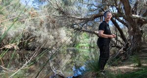 SERCUL chair Pat Hart on the banks of the Canning river which the group recently rehabilitated. Ms Hart said work like this was why the group should have been included in the river protection strategy. Photograph — Matt Devlin.