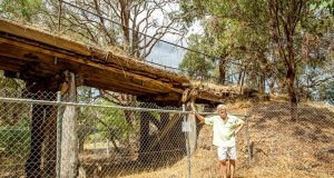 Byford resident Peter Godden is disappointed the Millbrace Bridge will be demolished. Photograph — Kelly Pilgrim-Byrne.