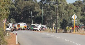 A truck carrying pigs crashed on Karnup Road, west of Rapids Road, in Serpentine this morning. Photograph - Hamish Hastie.