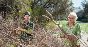 Jen Francis from Armadale Gosnells Landcare and Friends of Mary Carroll Wetland coordinator Unice Robinson with a problem tree. Photograph — Matt Devlin.