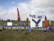 Protesters in a field holding signs