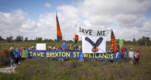 Protesters in a field holding signs