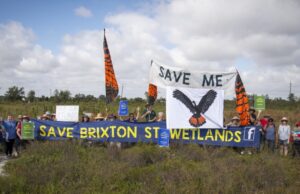 Protesters in a field holding signs