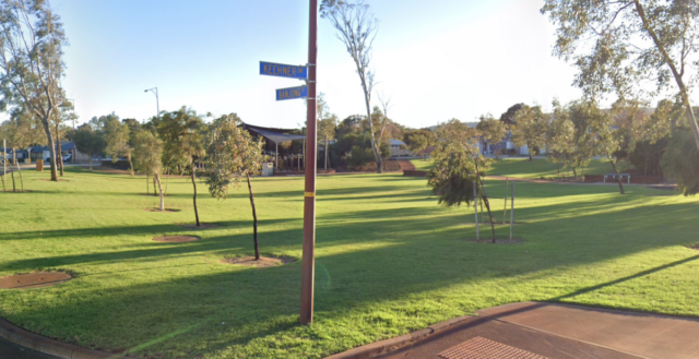 Wide shot of park