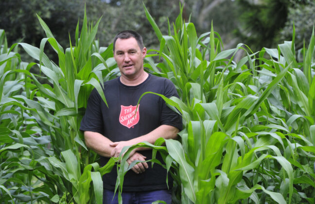 Man standing in a corn patch.