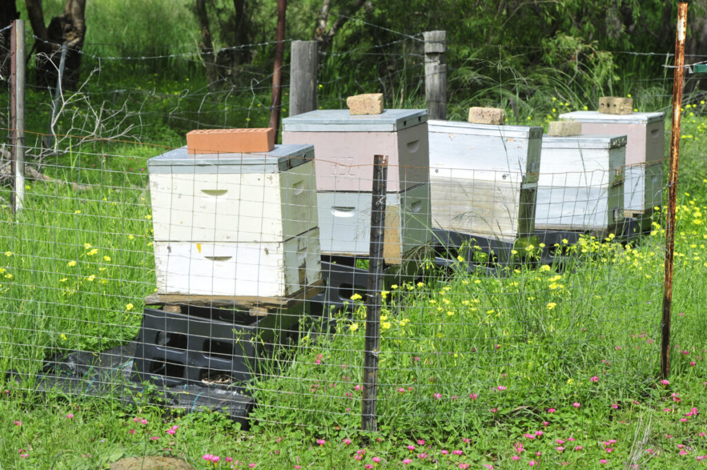 Bee hives from a distance